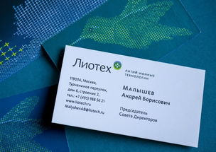 赋能未来能源——解析俄罗斯Liotech能源公司的企业视觉形象与品牌策划